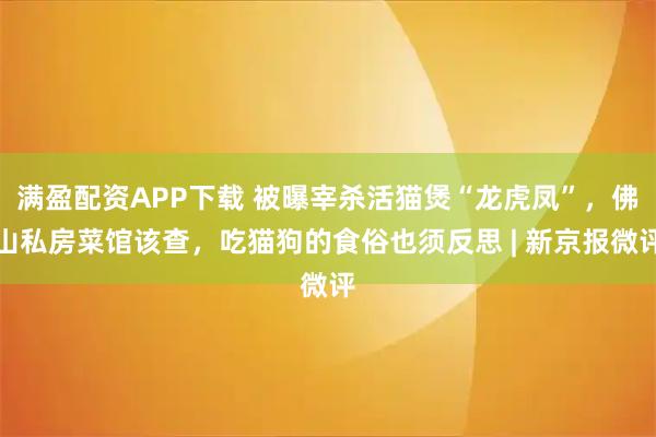 满盈配资APP下载 被曝宰杀活猫煲“龙虎凤”，佛山私房菜馆该查，吃猫狗的食俗也须反思 | 新京报微评