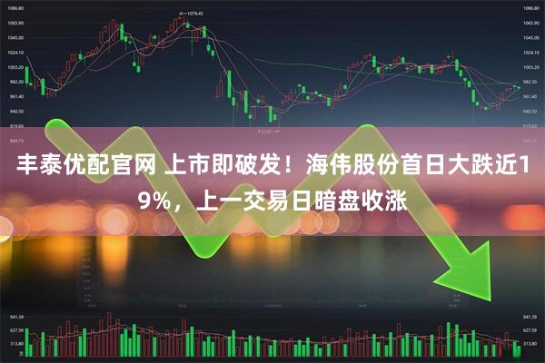 丰泰优配官网 上市即破发！海伟股份首日大跌近19%，上一交易日暗盘收涨